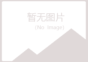 山阳县夏青批发有限公司